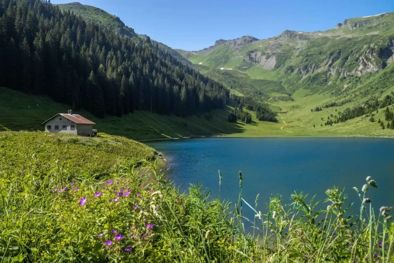 Lac de Gers : nature, rando et détente en Haute-Savoie